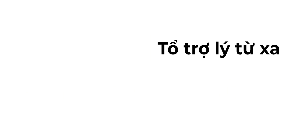 Bee Academy – Tổ trợ lý từ xa